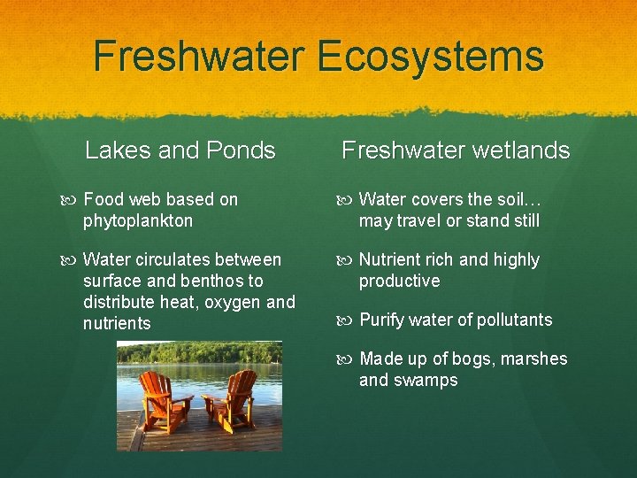 Freshwater Ecosystems Lakes and Ponds Freshwater wetlands Food web based on phytoplankton Water covers