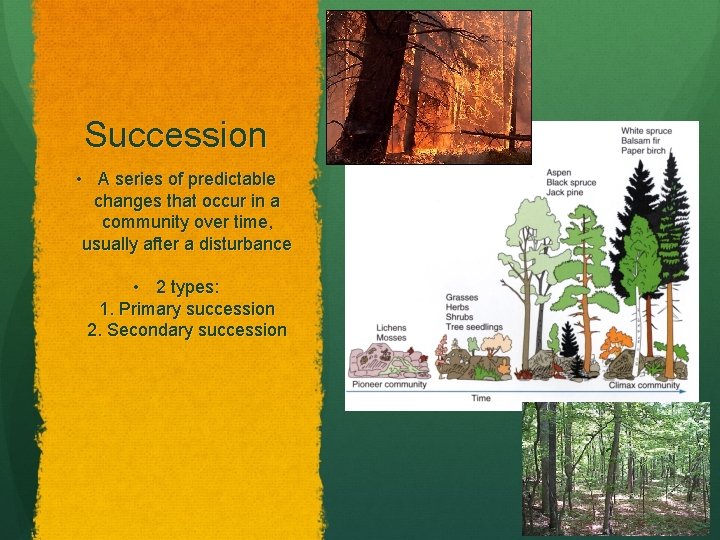 Succession • A series of predictable changes that occur in a community over time,