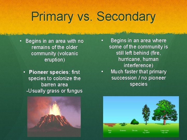 Primary vs. Secondary • Begins in an area with no remains of the older