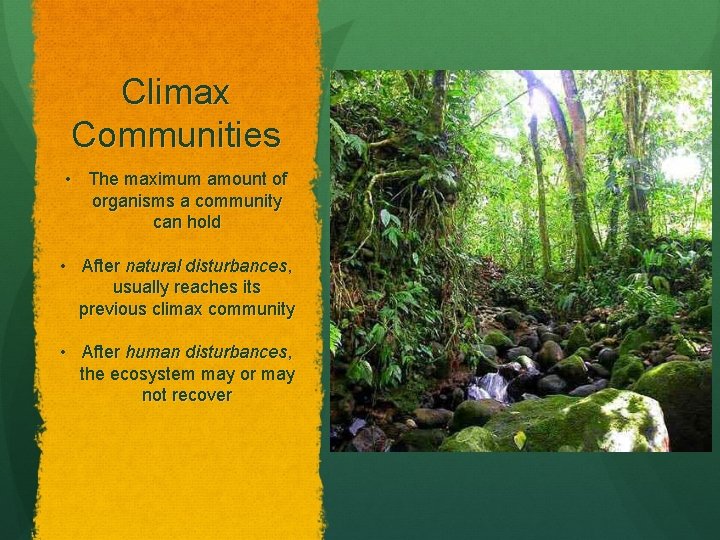 Climax Communities • The maximum amount of organisms a community can hold • After