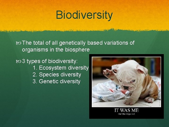 Biodiversity The total of all genetically based variations of organisms in the biosphere 3