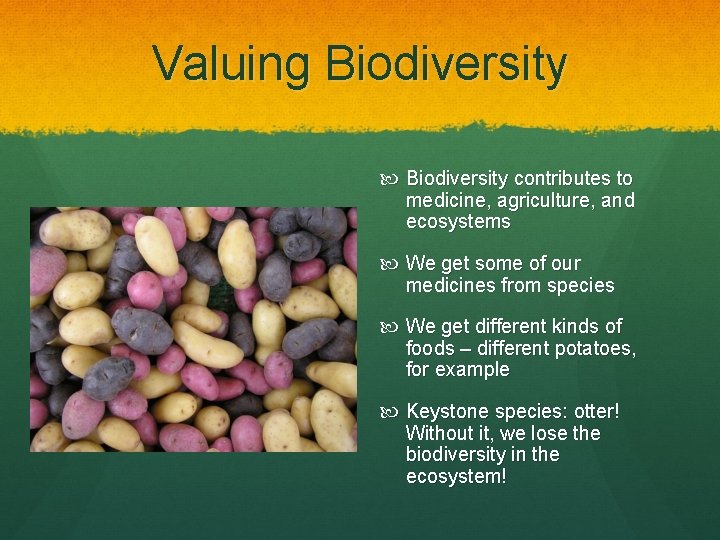 Valuing Biodiversity contributes to medicine, agriculture, and ecosystems We get some of our medicines