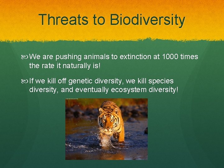 Threats to Biodiversity We are pushing animals to extinction at 1000 times the rate