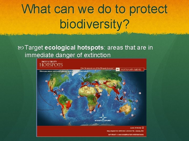 What can we do to protect biodiversity? Target ecological hotspots: areas that are in