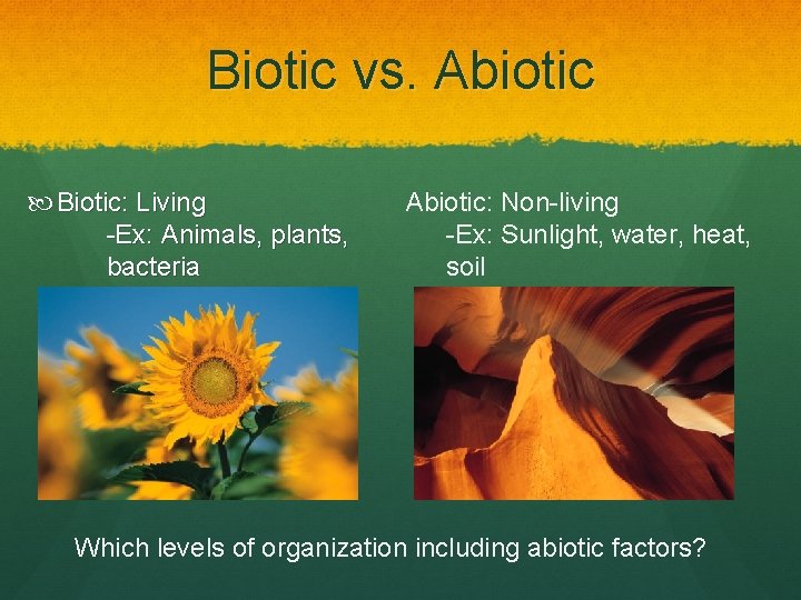 Biotic vs. Abiotic Biotic: Living -Ex: Animals, plants, bacteria Abiotic: Non-living -Ex: Sunlight, water,