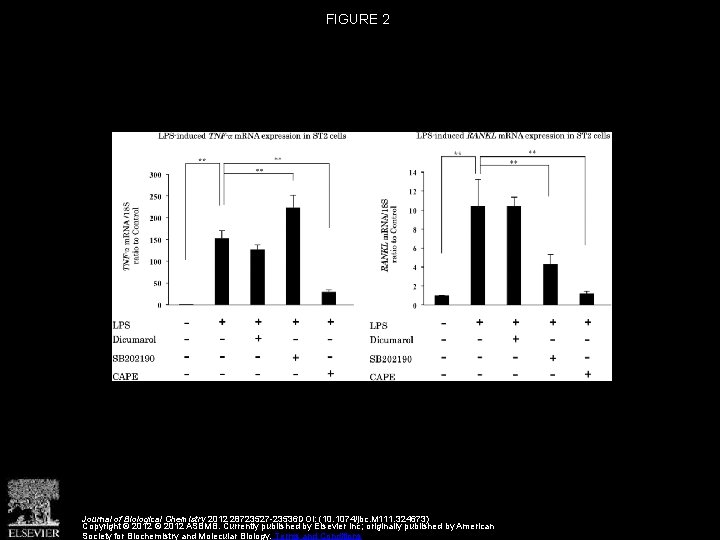 FIGURE 2 Journal of Biological Chemistry 2012 28723527 -23536 DOI: (10. 1074/jbc. M 111.