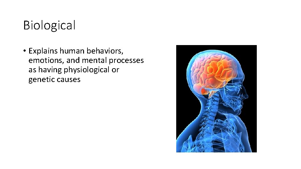 Biological • Explains human behaviors, emotions, and mental processes as having physiological or genetic