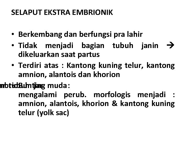 SELAPUT EKSTRA EMBRIONIK • Berkembang dan berfungsi pra lahir • Tidak menjadi bagian tubuh