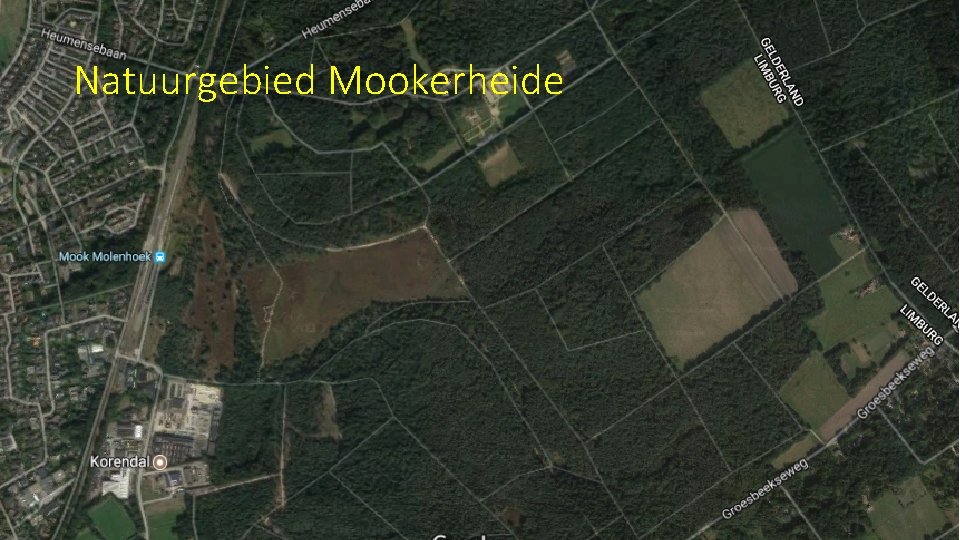 Natuurgebied Mookerheide 