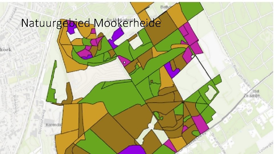 Natuurgebied Mookerheide 