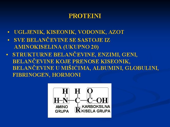 PROTEINI • UGLJENIK, KISEONIK, VODONIK, AZOT • SVE BELANČEVINE SE SASTOJE IZ AMINOKISELINA (UKUPNO