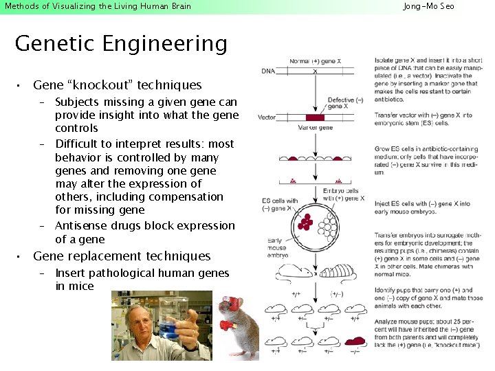 Methods of Visualizing the Living Human Brain JongMo