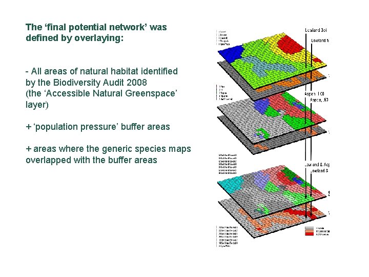 The ‘final potential network’ was defined by overlaying: - All areas of natural habitat