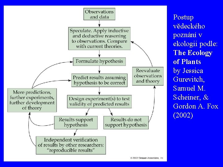 Postup vědeckého poznání v ekologii podle: The Ecology of Plants by Jessica Gurevitch, Samuel