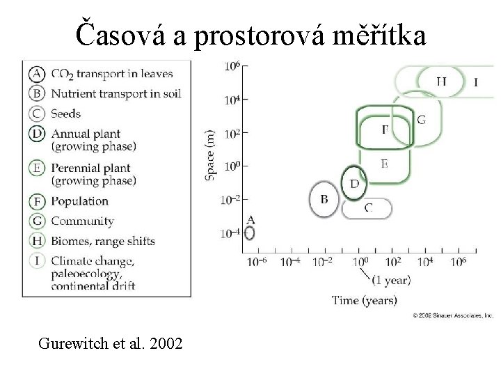 Časová a prostorová měřítka Gurewitch et al. 2002 