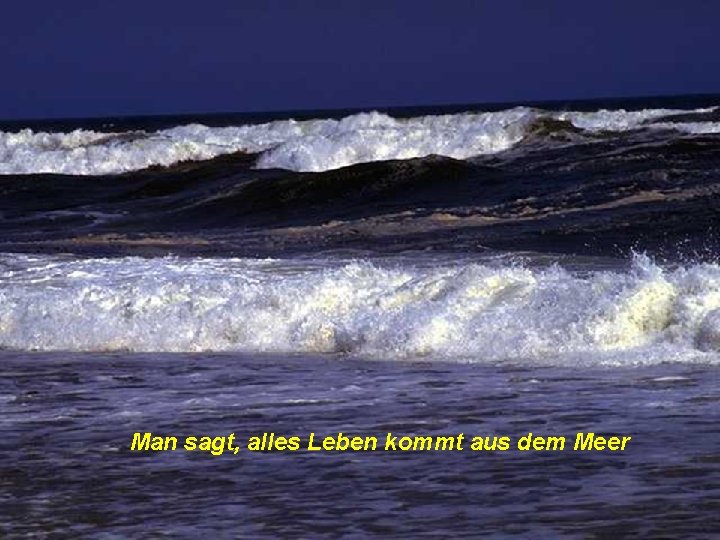 Man sagt, alles Leben kommt aus dem Meer Man sagt, alles Leben kommt aus dem Meer