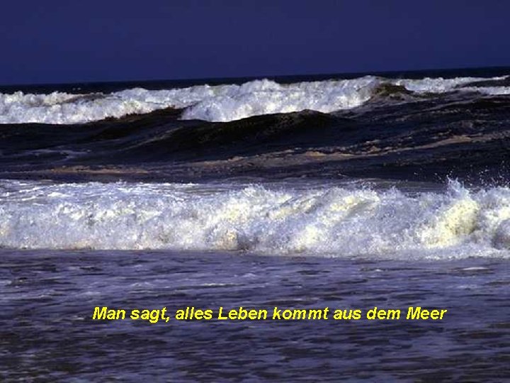 Man sagt, alles Leben kommt aus dem Meer 