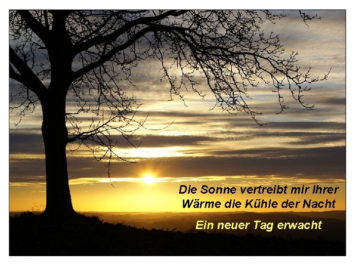 Die Sonne vertreibt mir Ihrer Wärme die Kühle der Nacht Ein neuer Tag erwacht Die Sonne vertreibt mir Ihrer Wärme die Kühle der Nacht Ein neuer Tag erwacht