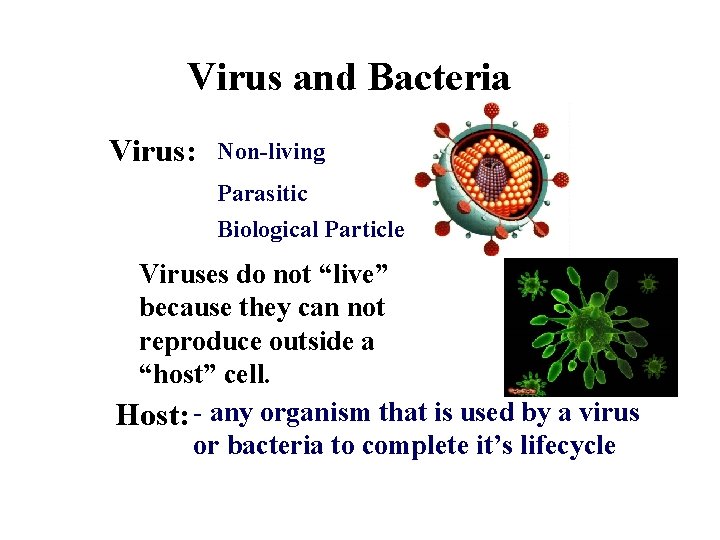 Virus and Bacteria Virus: Non-living Parasitic Biological Particle Viruses do not “live” because they