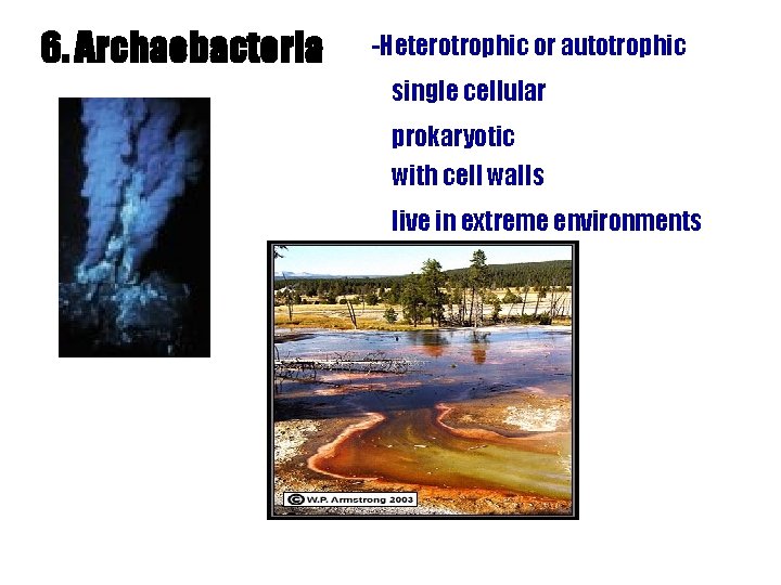 6. Archaebacteria -Heterotrophic or autotrophic single cellular prokaryotic with cell walls live in extreme