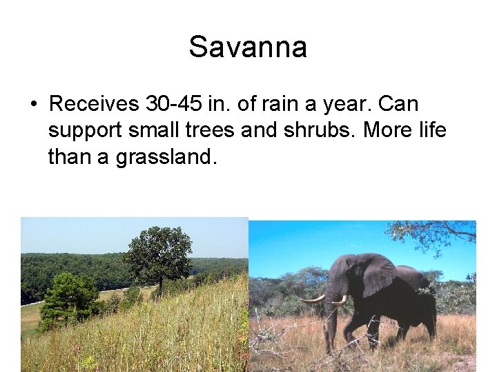 Savanna • Receives 30 -45 in. of rain a year. Can support small trees