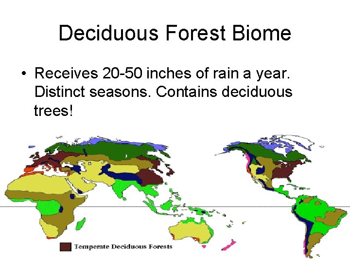 Deciduous Forest Biome • Receives 20 -50 inches of rain a year. Distinct seasons.