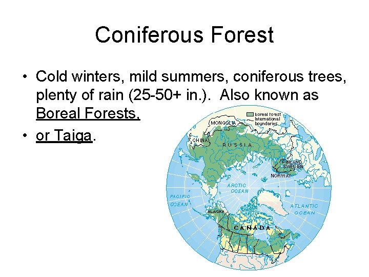 Coniferous Forest • Cold winters, mild summers, coniferous trees, plenty of rain (25 -50+