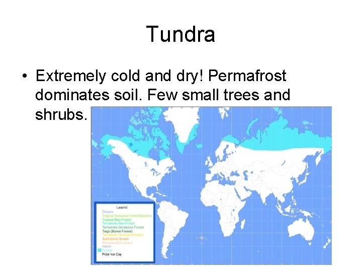 Tundra • Extremely cold and dry! Permafrost dominates soil. Few small trees and shrubs.