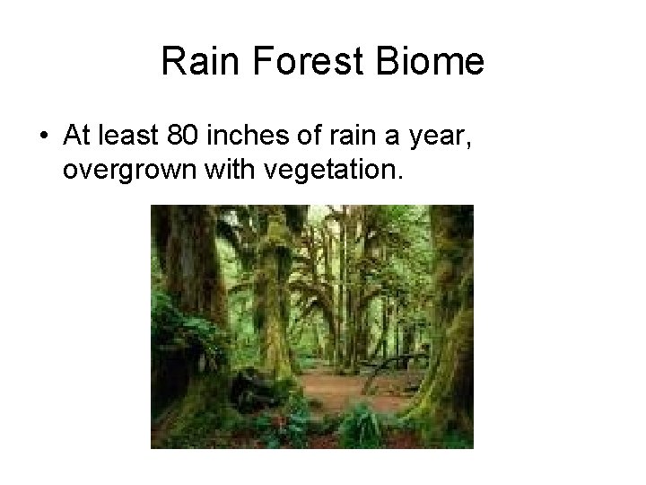 Rain Forest Biome • At least 80 inches of rain a year, overgrown with