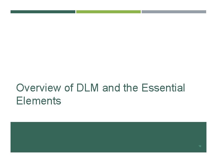 Overview of DLM and the Essential Elements 19 