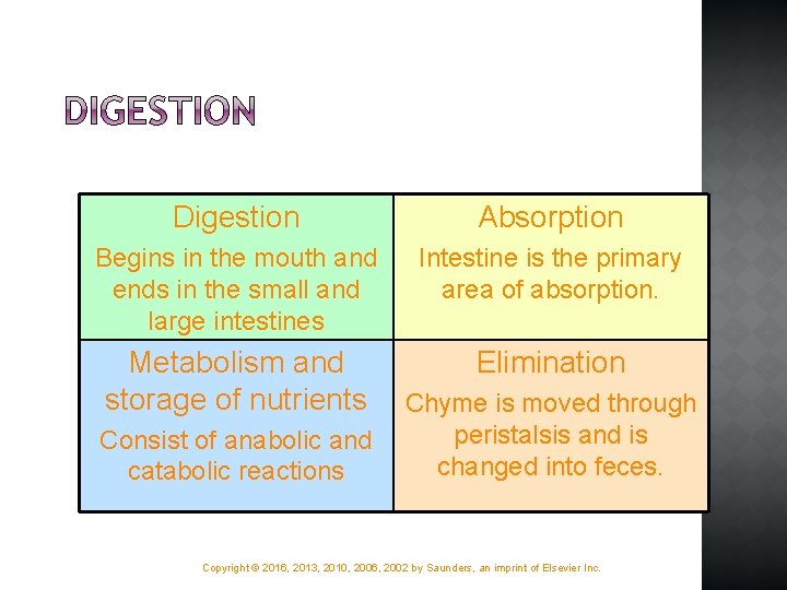 Digestion Absorption Begins in the mouth and ends in the small and large intestines