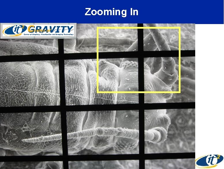 Zooming In 