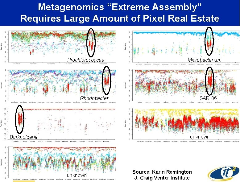 Metagenomics “Extreme Assembly” Requires Large Amount of Pixel Real Estate Prochlorococcus Microbacterium Rhodobacter SAR-86