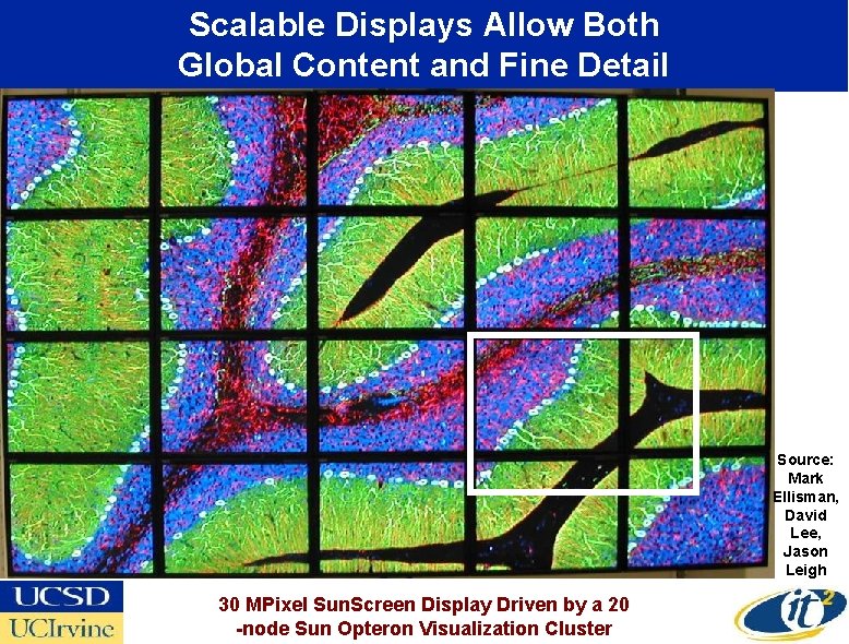 Scalable Displays Allow Both Global Content and Fine Detail Source: Mark Ellisman, David Lee,