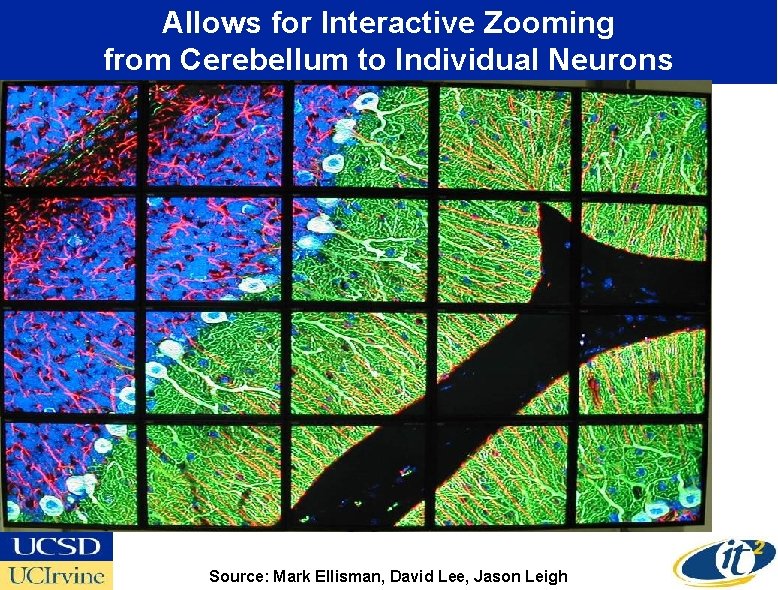 Allows for Interactive Zooming from Cerebellum to Individual Neurons Source: Mark Ellisman, David Lee,
