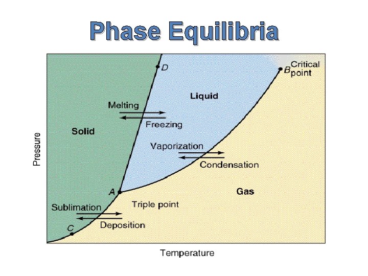 Phase Equilibria 