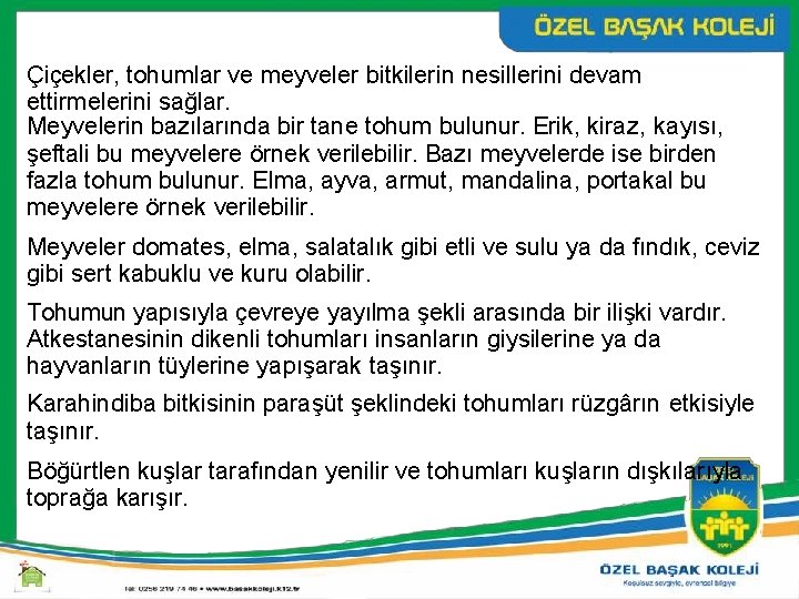 Çiçekler, tohumlar ve meyveler bitkilerin nesillerini devam ettirmelerini sağlar. Meyvelerin bazılarında bir tane tohum