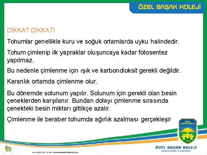 DİKKAT! Tohumlar genellikle kuru ve soğuk ortamlarda uyku halindedir. Tohum çimlenip ilk yapraklar oluşuncaya