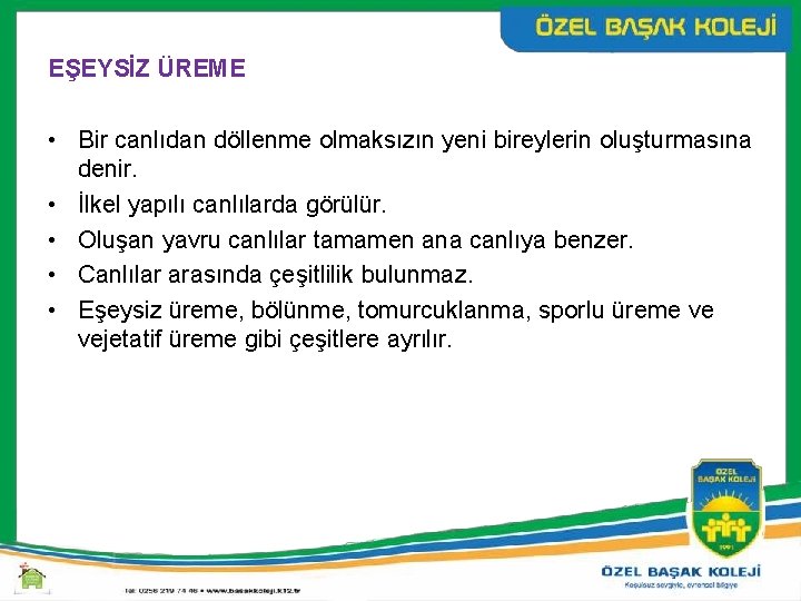 EŞEYSİZ ÜREME • Bir canlıdan döllenme olmaksızın yeni bireylerin oluşturmasına denir. • İlkel yapılı