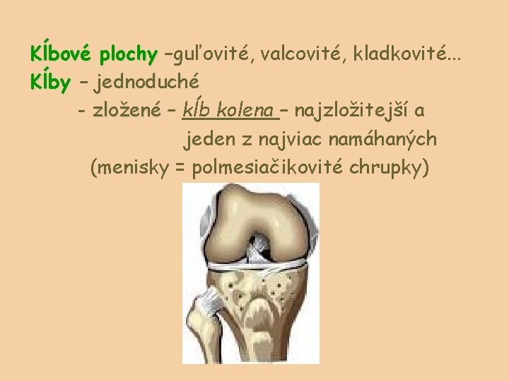 Kĺbové plochy –guľovité, valcovité, kladkovité. . . Kĺby – jednoduché - zložené – kĺb