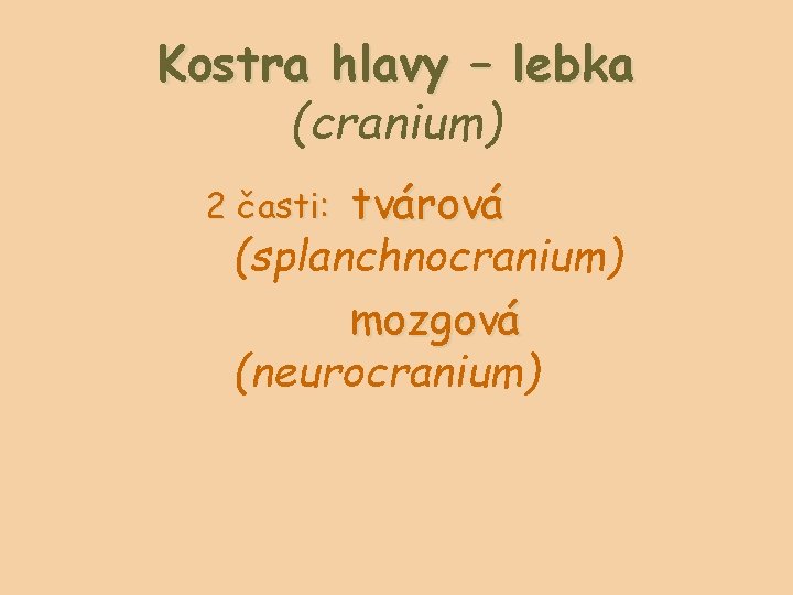 Kostra hlavy – lebka (cranium) tvárová (splanchnocranium) mozgová (neurocranium) 2 časti: 