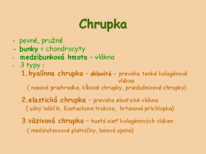 Chrupka - pevné, pružné - bunky = chondrocyty - medzibunková hmota – vlákna -