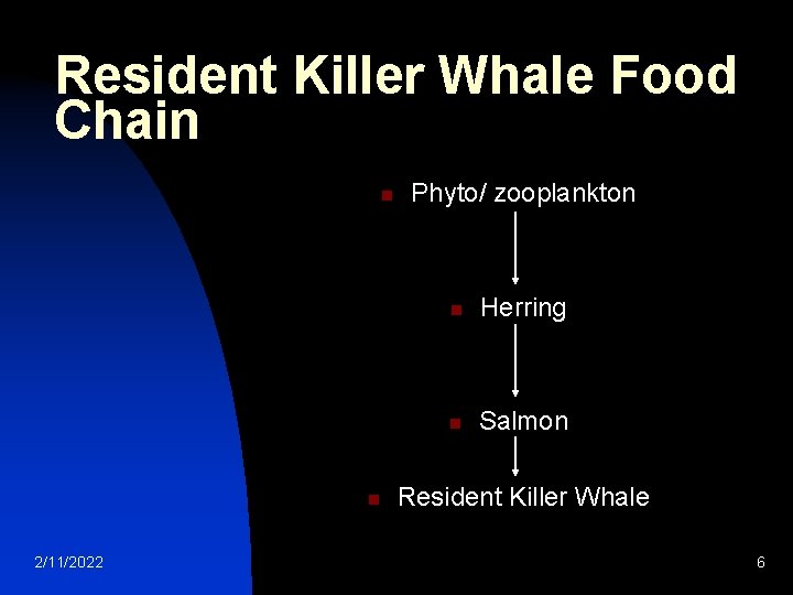 Resident Killer Whale Food Chain n n 2/11/2022 Phyto/ zooplankton n Herring n Salmon