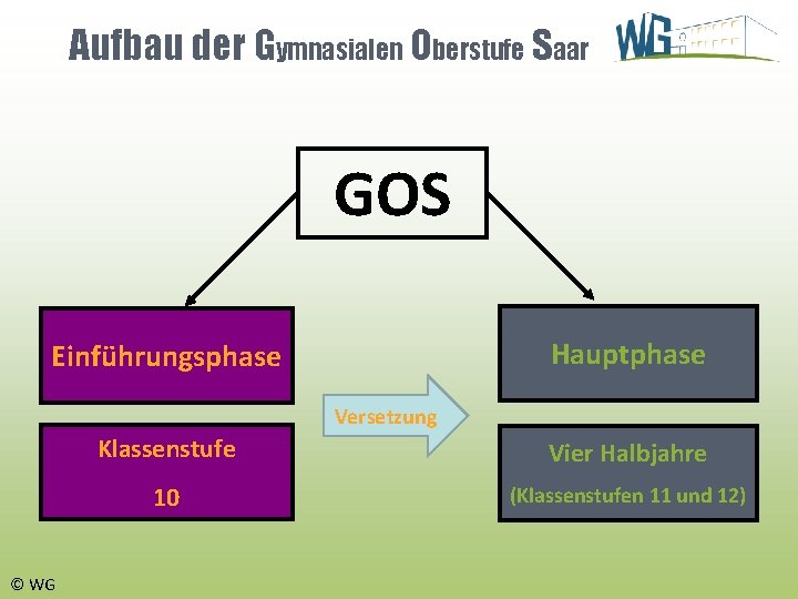 Aufbau der Gymnasialen Oberstufe Saar GOS Hauptphase Einführungsphase Versetzung © WG Klassenstufe Vier Halbjahre