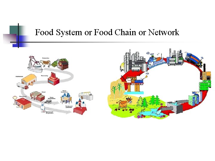Food System or Food Chain or Network 
