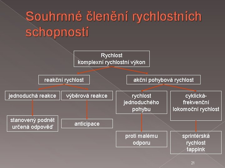 Souhrnné členění rychlostních schopností Rychlost komplexní rychlostní výkon reakční rychlost jednoduchá reakce výběrová reakce