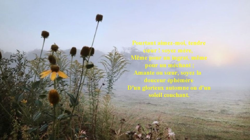 Pourtant aimez-moi, tendre cœur ! soyez mère, Même pour un ingrat, même pour un