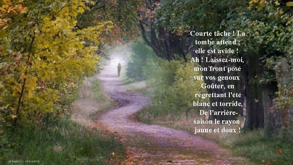 Courte tâche ! La tombe attend ; elle est avide ! Ah ! Laissez-moi,