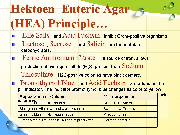 Hektoen Enteric Agar (HEA) Principle… Bile Salts and Acid Fuchsin inhibit Gram-positive organisms. Lactose