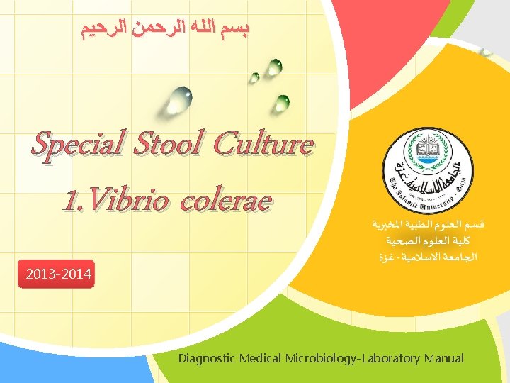  ﺑﺴﻢ ﺍﻟﻠﻪ ﺍﻟﺮﺣﻤﻦ ﺍﻟﺮﺣﻴﻢ Special Stool Culture 1. Vibrio colerae 2013 -2014 L/O/G/O